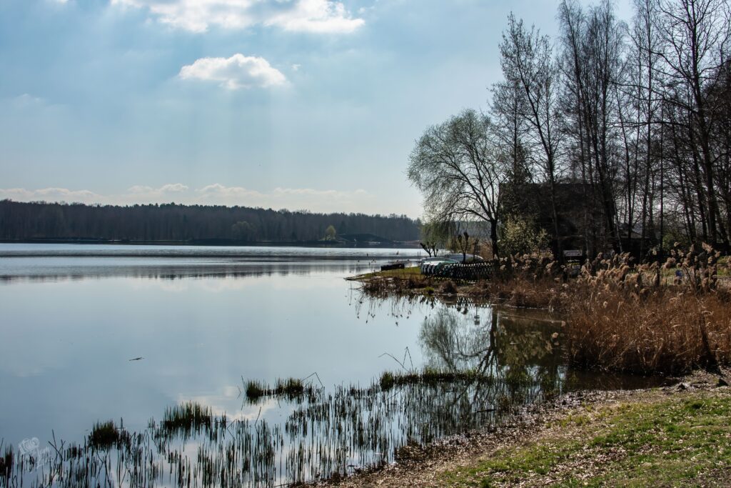 subscribe photography blog